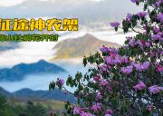 5月28日徒步神农架｜高山杜鹃花期-重返老君山-穿行斑斓原始森林-轻重装徒步可选（4 天 3 晚）