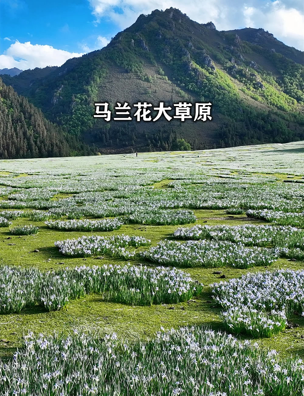 未命名-1