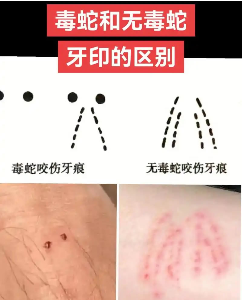未命名-2