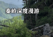7月30日-华夏龙脉 | 秦岭太白山+朱雀+冰晶顶+终南山+秦蜀古道/双森林公园连穿+登顶秦岭之巅冰晶顶+行走冰川石海+徒步千年古道秘境/四天